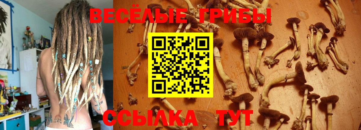 Псилоцибиновые грибы ЛСД  Вход с VPN  Сорочинск 