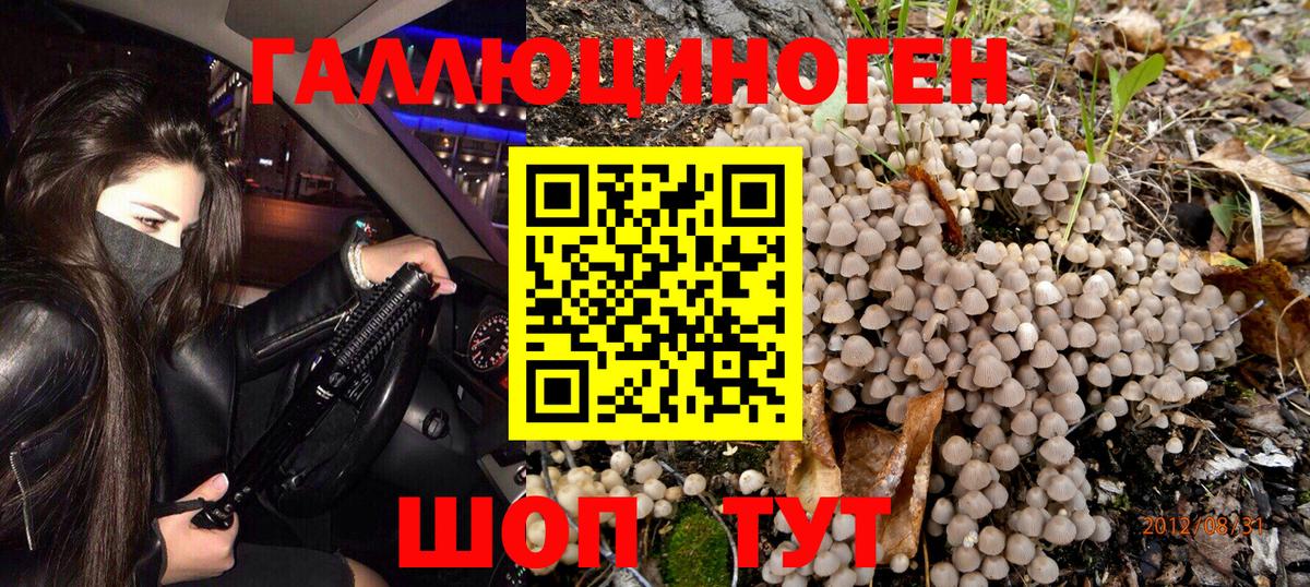 Псилоцибиновые грибы GOLDEN TEACHER Сорочинск